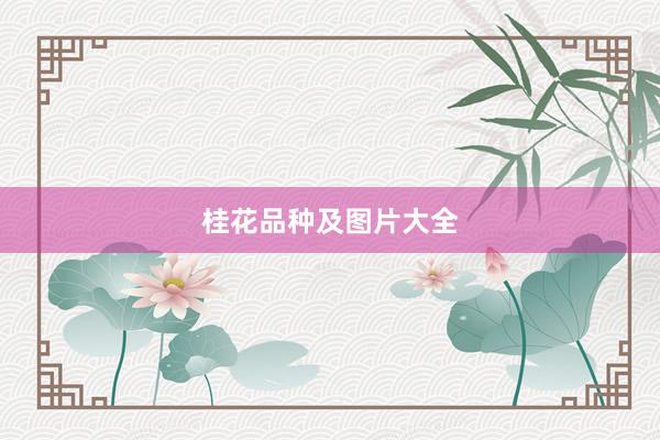 桂花品种及图片大全