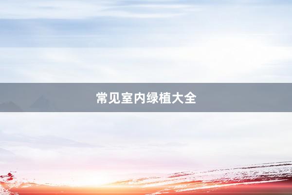 常见室内绿植大全