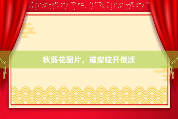 秋葵花图片，璀璨绽开俄顷