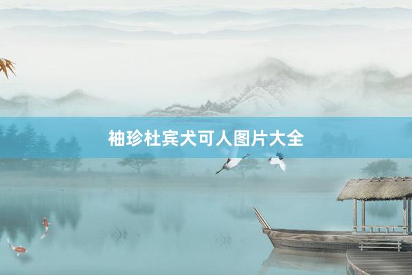 袖珍杜宾犬可人图片大全