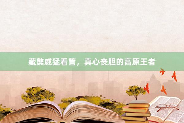藏獒威猛看管，真心丧胆的高原王者