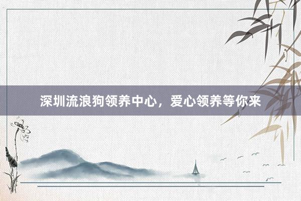 深圳流浪狗领养中心，爱心领养等你来